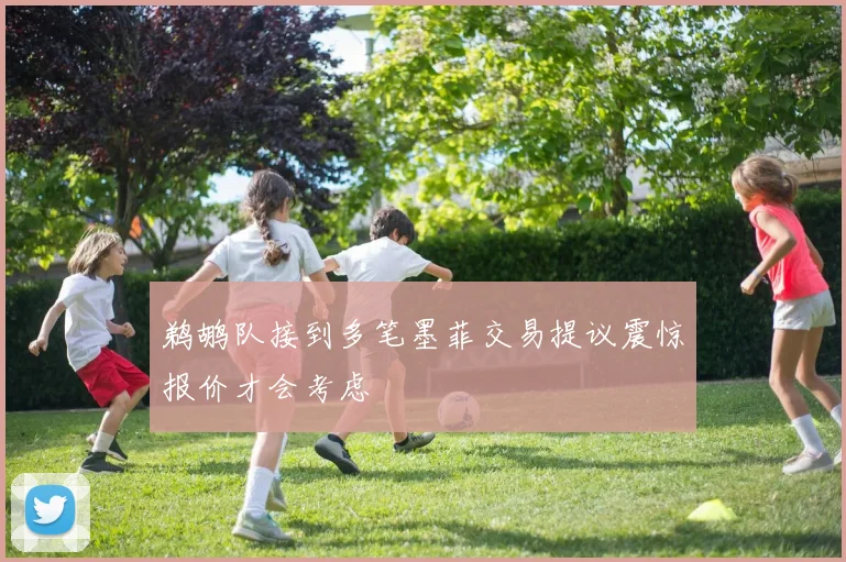 鹈鹕队接到多笔墨菲交易提议震惊报价才会考虑